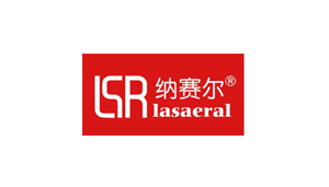 纳赛尔